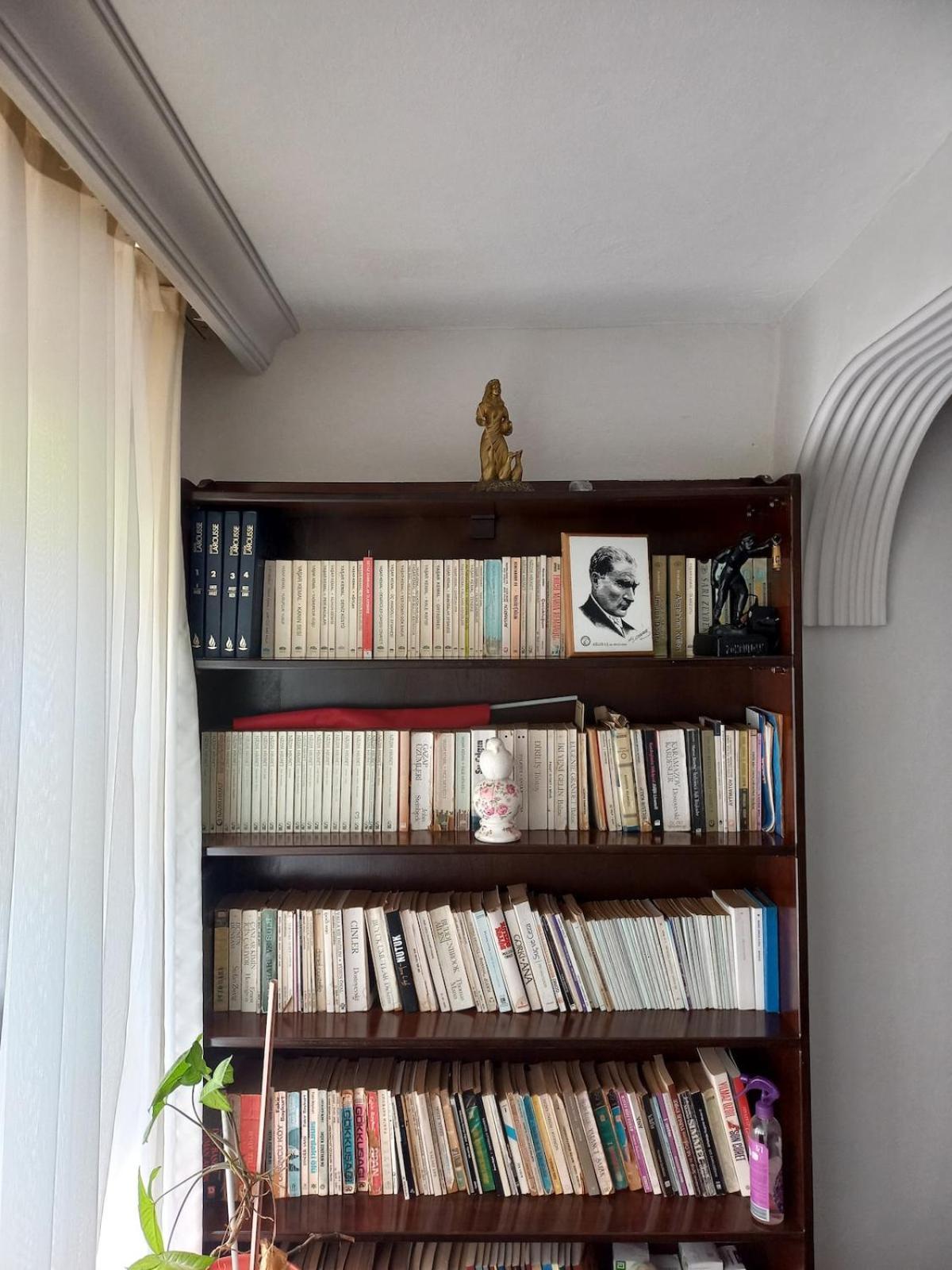 Yildirim Armutalan Daily Weekly *